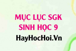 Mục lục Sách giáo khoa (SGK) Sinh học 9